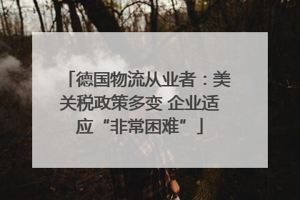 德国物流从业者：美关税政策多变 企业适应“非常困难”